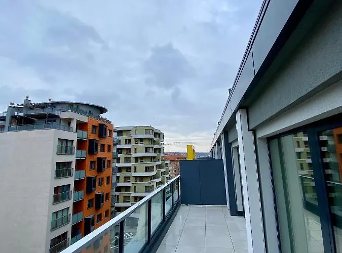 David O2 Arena